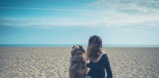 races de chien besoin présence maitre