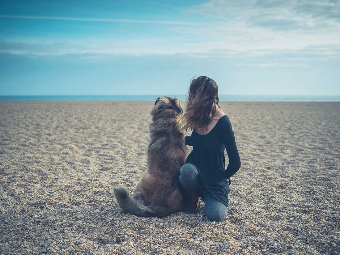 races de chien besoin présence maitre