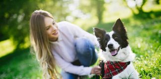 ce que les chiens aiment le plus chez leur maitre