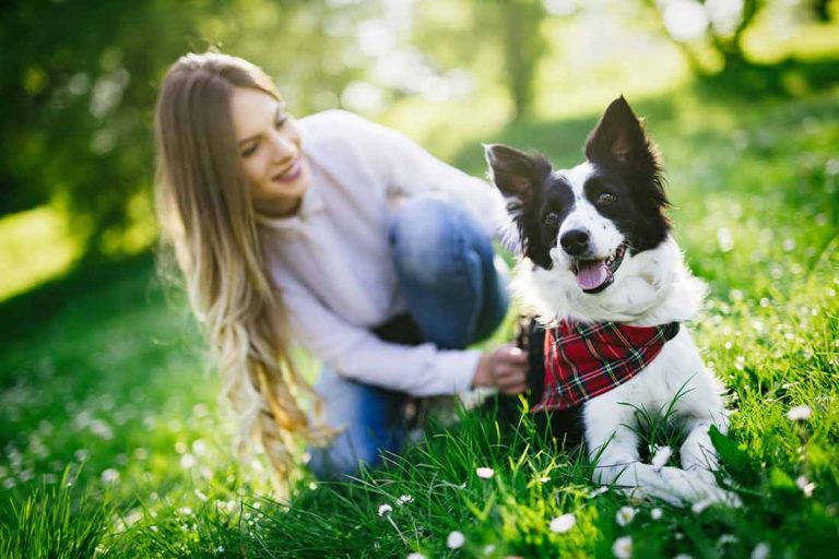 ce que les chiens aiment le plus chez leur maitre