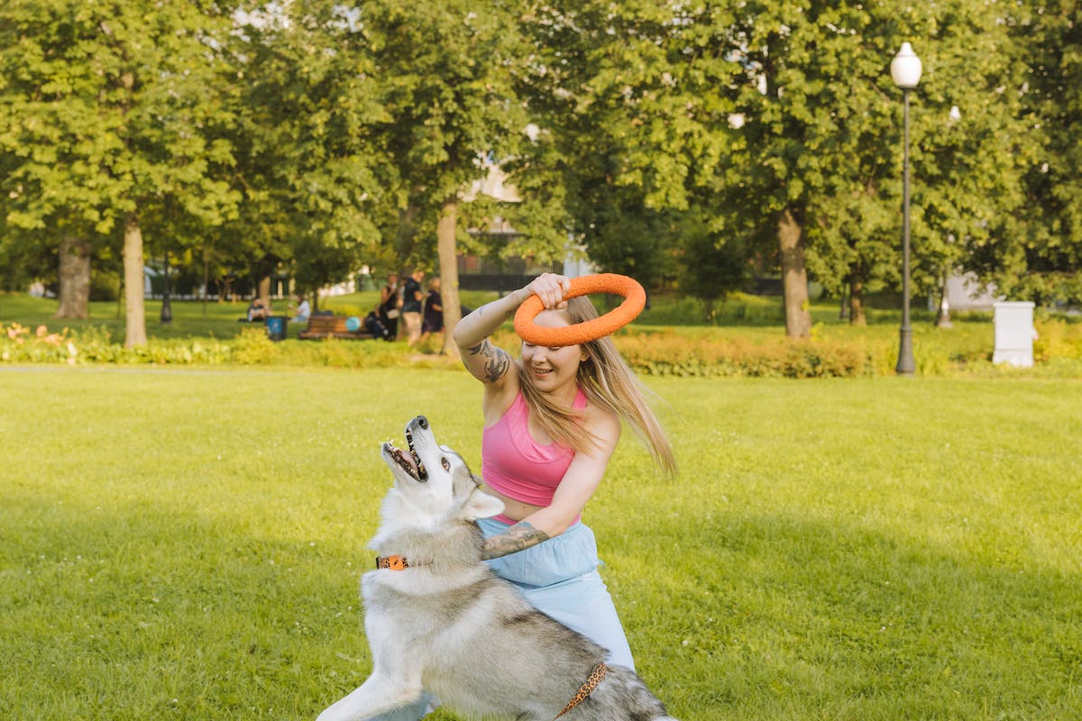 chien et son maître qui jouent