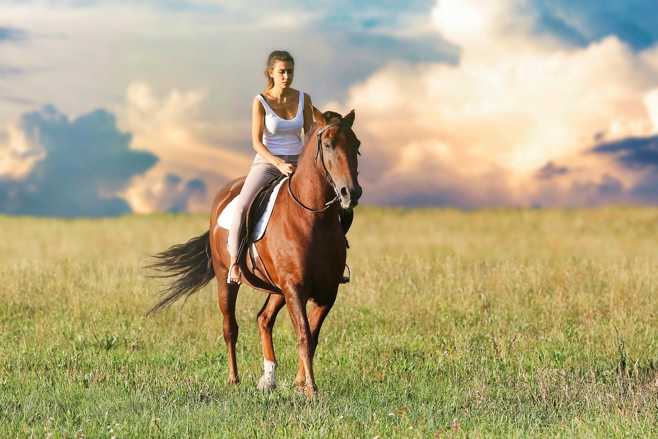 Comment prendre soin de son cheval ?