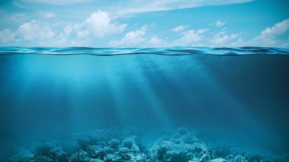 Pollution sonore des océans : l’Europe impose enfin des limites, voici ce qui va changer pour sauver les baleines !