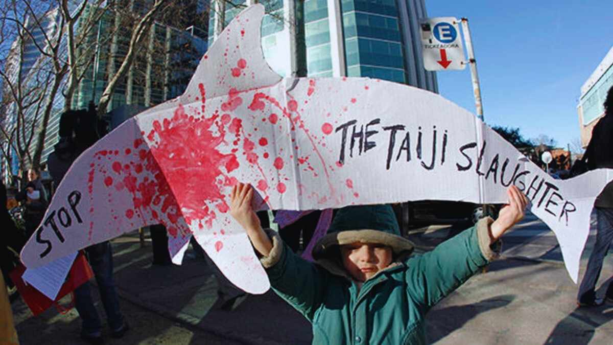 La mobilisation mondiale s’intensifie : plus de 100 000 voix s’élèvent contre la chasse à la baleine au Japon