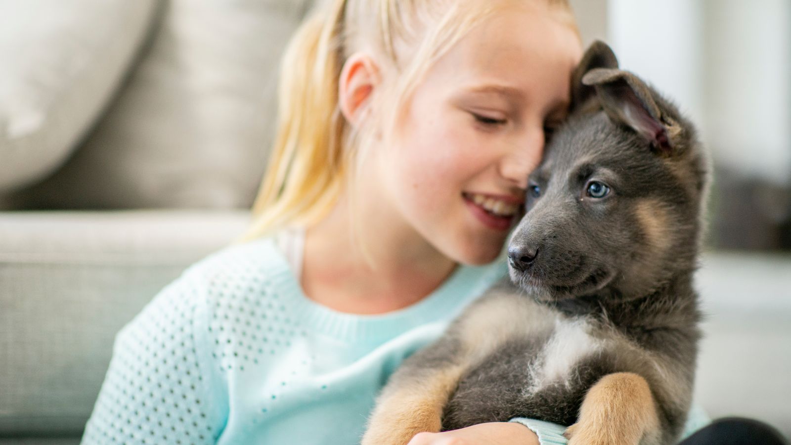 adoption de chiot