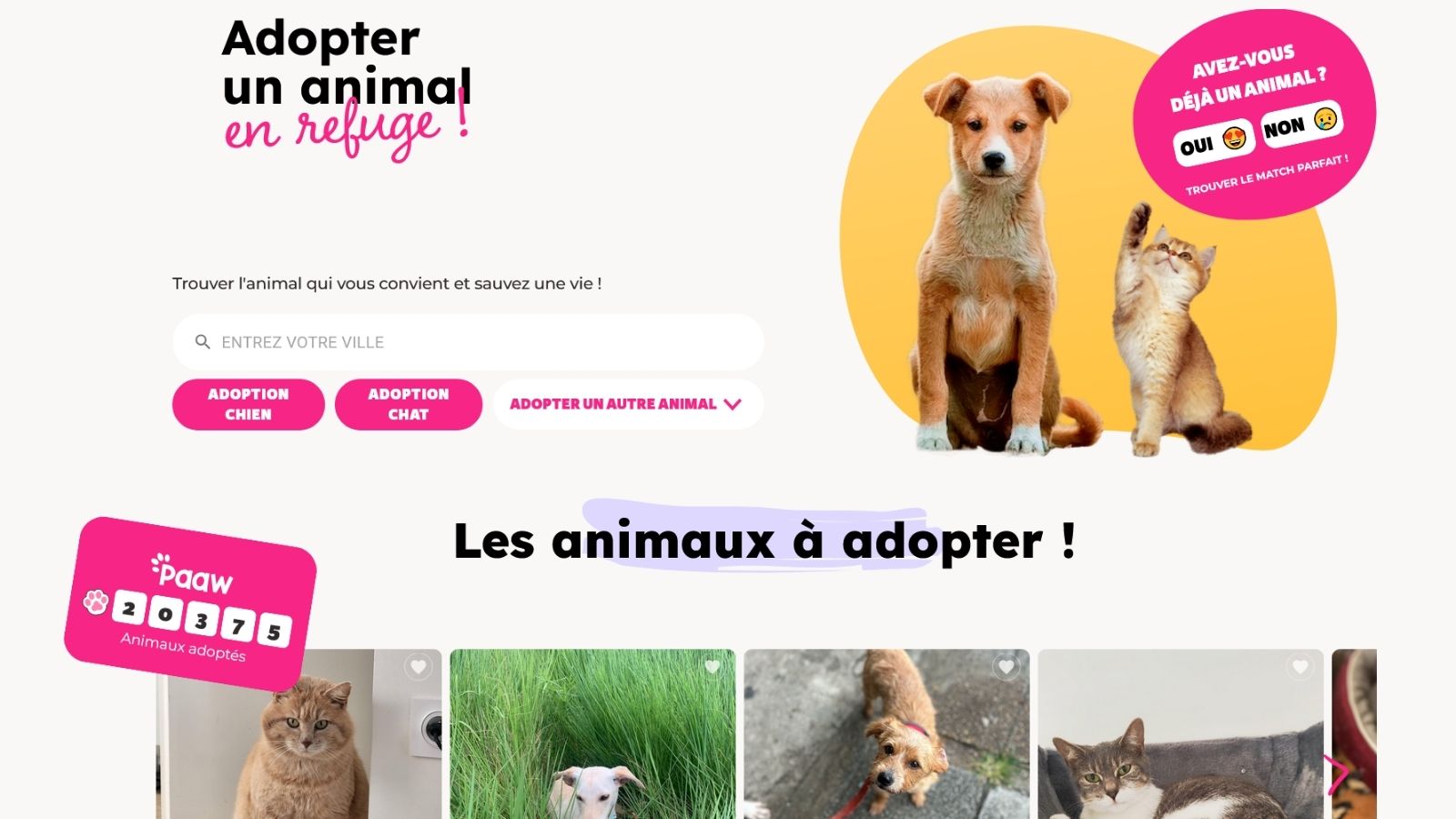 Paaw : L’application innovante pour unir animaux et familles