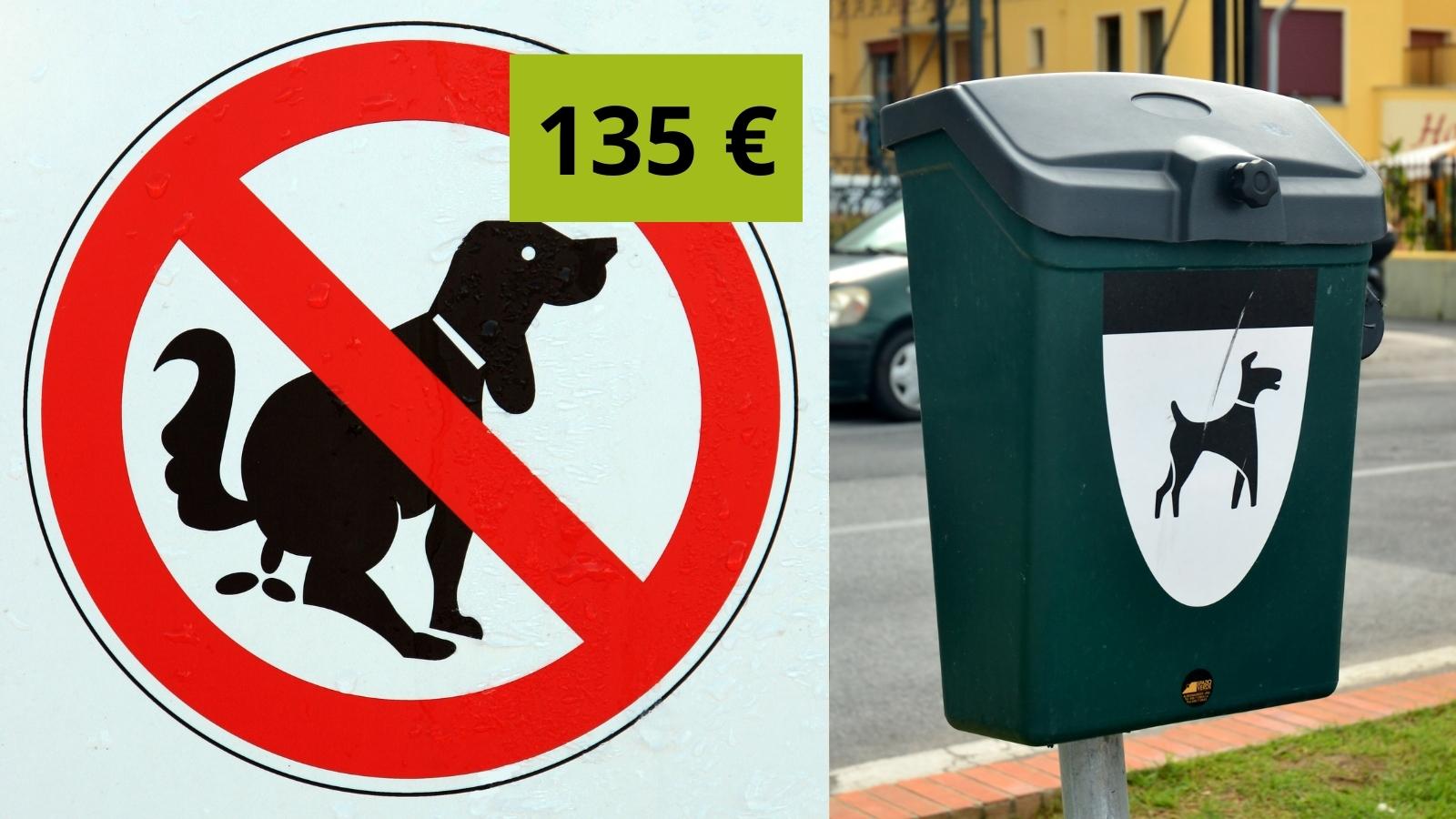 Crotte de chien à Illkirch, gare aux amendes salées !