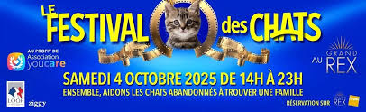 Premier Festival des Chats au Grand Rex : Plongée dans l’Univers Félin