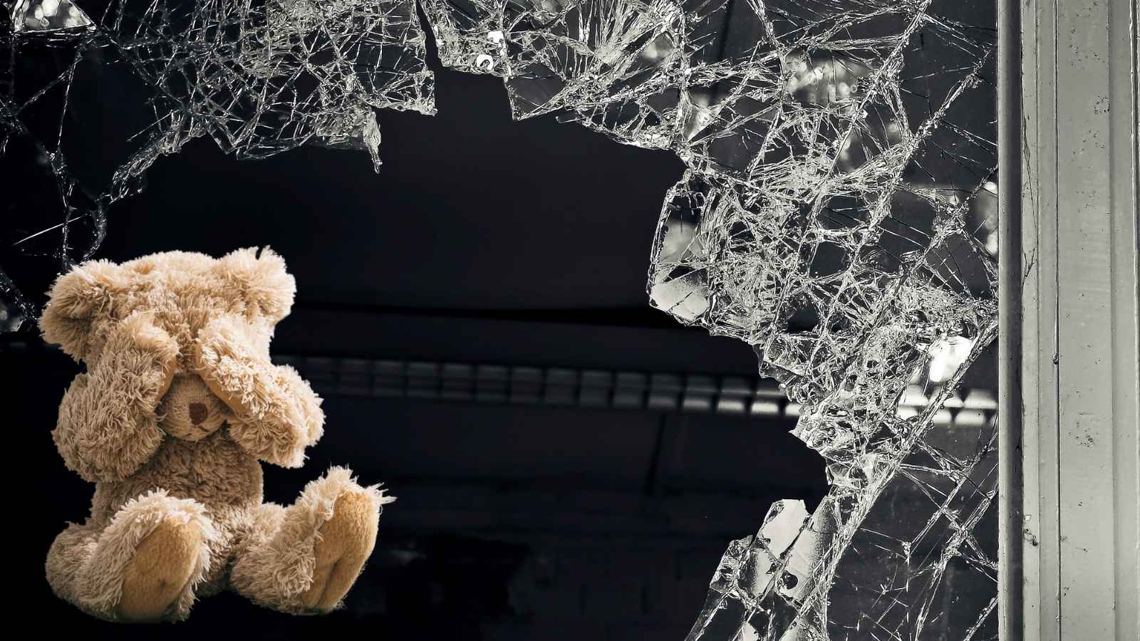 Un chien jeté par la fenêtre secouru par une association à Colomiers