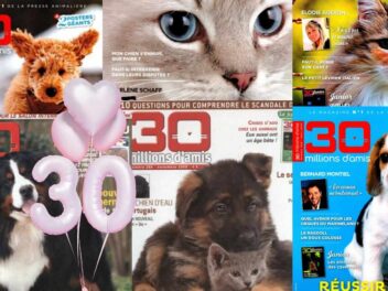 La Fondation 30 Millions d’Amis : 30 ans de victoires et de mobilisation pour la cause animale