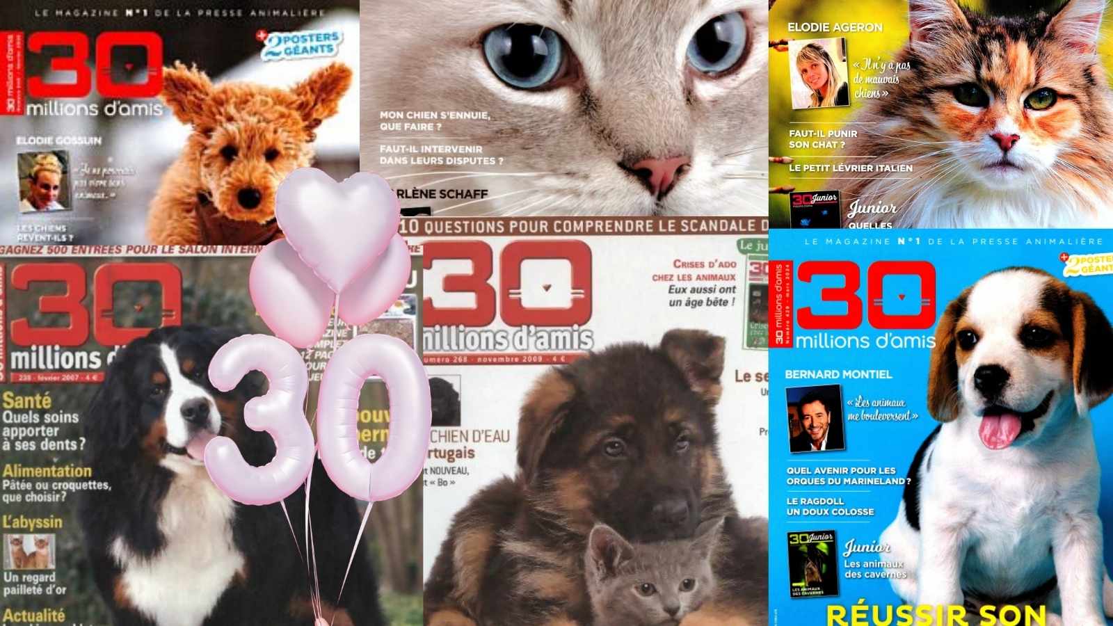 La Fondation 30 Millions d’Amis : 30 ans de victoires et de mobilisation pour la cause animale