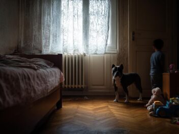 « Quand la justice relaxe, mais que le système mord » : retour sur l’affaire American Bully