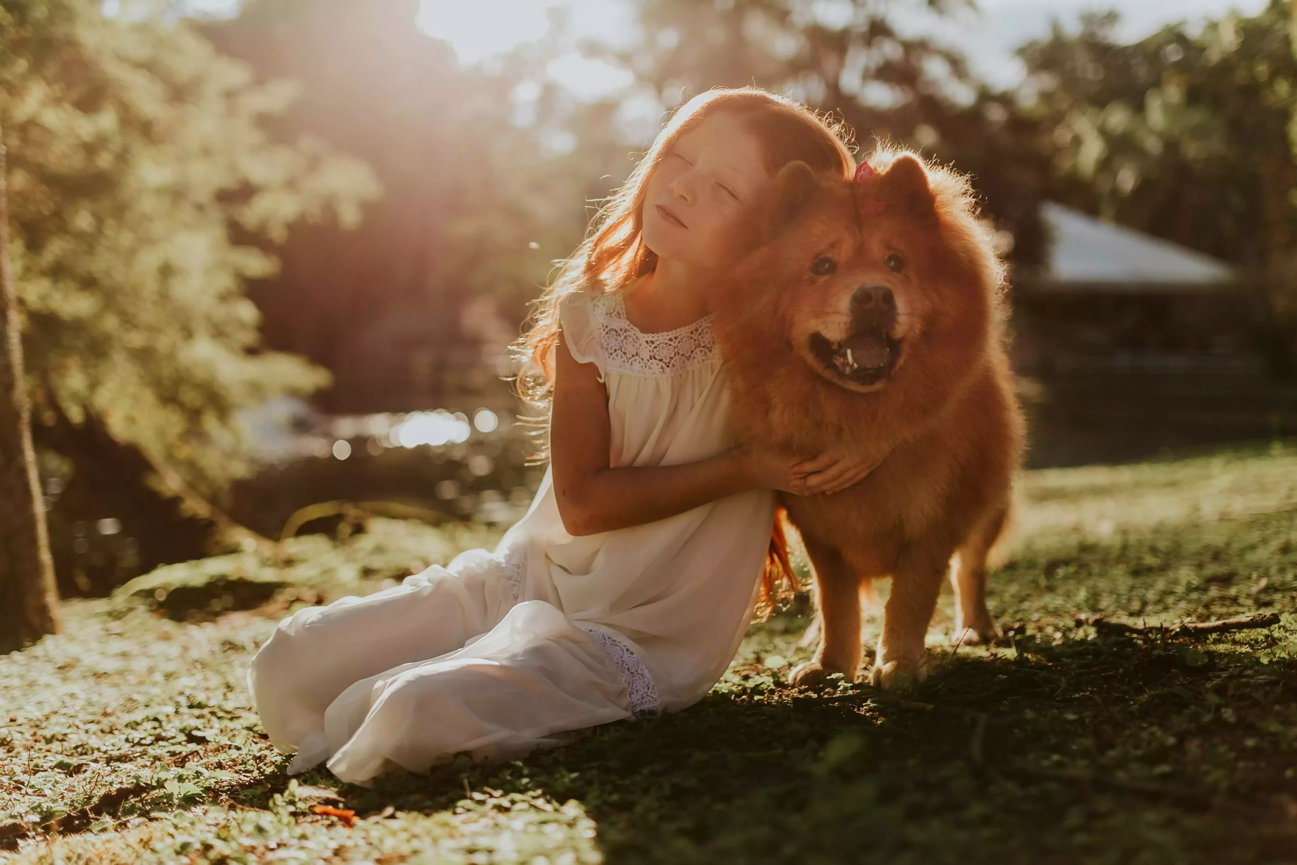 Canicule : Ce que Météo-France ne vous dit pas sur vos animaux domestiques !
