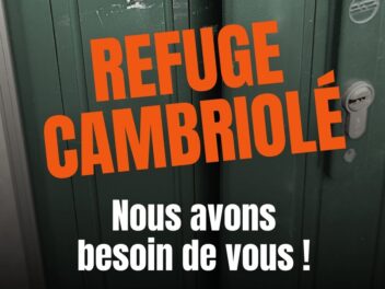 Cambriolage choquant à la SPA : le refuge attaqué après sa journée portes ouvertes