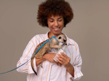 Les Français dépensent-ils beaucoup pour leur animal ? Découvrez le budget moyen mensuel et ses secrets