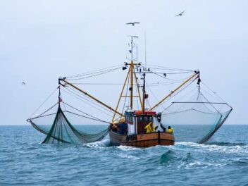 Chalutage : le scandale écologique qui ravage nos océans !