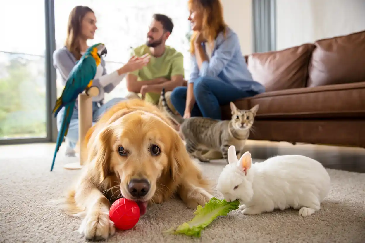 Découvrez tout ce qu’il faut savoir pour prendre soin de vos animaux au quotidien !