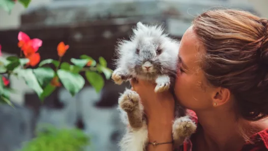 Ce que votre façon d’être avec les animaux révèle vraiment sur vous