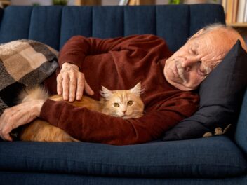 Mon chat vieillit : les maladies à surveiller pour préserver sa forme