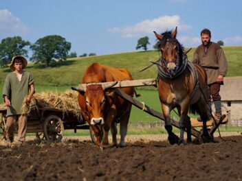 Que nous racontent nos animaux ? Les dessous fascinants d’une histoire partagée entre domestication et maltraitance