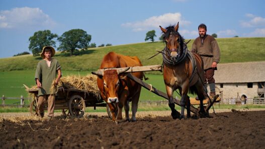 Que nous racontent nos animaux ? Les dessous fascinants d’une histoire partagée entre domestication et maltraitance
