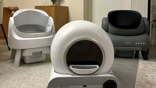 Les litières auto nettoyantes : la révolution pour les propriétaires de chats