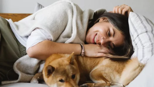 Le Shiba Inu : Tout savoir sur la personnalité incroyable de ce petit « renard » venu du Japon