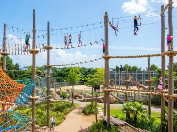 Pourquoi les zoos ne misent plus seulement sur les animaux pour attirer les visiteurs toute l’année ?