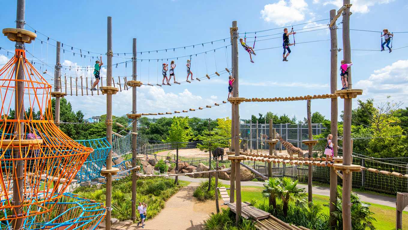 Pourquoi les zoos ne misent plus seulement sur les animaux pour attirer les visiteurs toute l’année ?