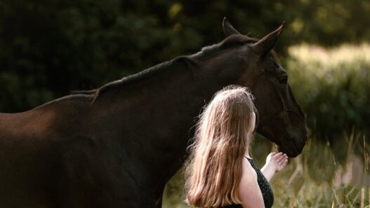 Comment optimiser les performances sportives de votre cheval ?